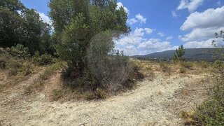 Land for sale in Torres Novas, Portugal — €1,200