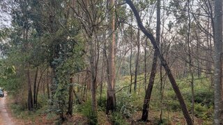 Land for sale in Amarante, Portugal — €42,500