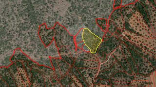 Land for sale in Torres Novas, Portugal — €2,650
