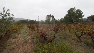Land for sale in Belmonte, Portugal — €32,000