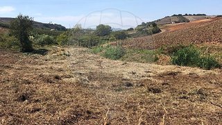 Terreno em Mafra
