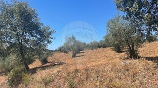 Terreno para venda em Ansião, Portugal — 22 000 €