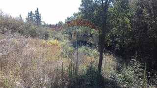 Land for sale in Vila de Rei, Portugal — €6,000