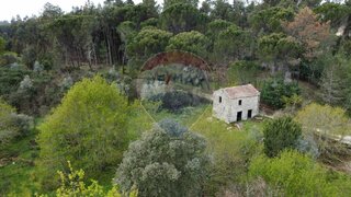 Land for sale in Nelas, Portugal — €19,000
