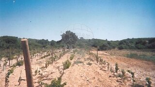 Land for sale in Sesimbra, Portugal — €160,000