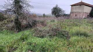 Land for sale in Pombal, Portugal — €49,500