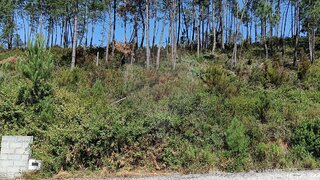 Terreno · 500 m² · 39 900 €