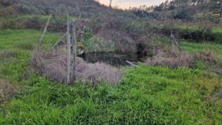 Land for sale in Vila de Rei, Portugal — €12,000