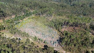 Land for sale in Cantanhede, Portugal — €5,000