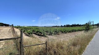 Land for sale in Montijo, Portugal — €350,000
