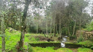 Land for sale in Barcelos, Portugal — €57,000