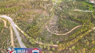 Land for sale in Abrantes, Portugal — €12,000