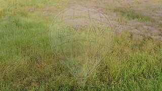 Land for sale in Pombal, Portugal — €17,000
