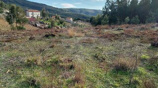 Land for sale in Sertã, Portugal — €6,000
