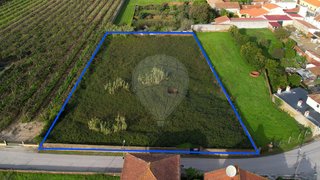Land for sale in Anadia, Portugal — €125,000