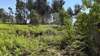 Land for sale in Vila Verde, Portugal — €72,500