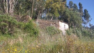 Land for sale in Sardoal, Portugal — €25,000