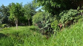 Terreno em Figueira da Foz