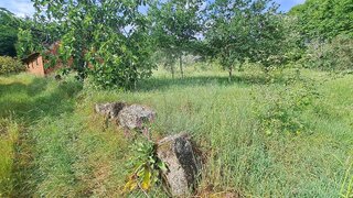 Terreno em Tondela