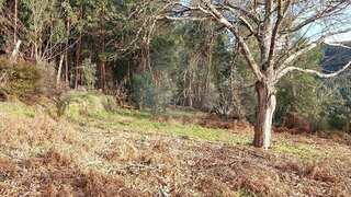 Land for sale in Sertã, Portugal — €3,000