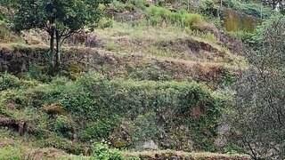 Land for sale in Terras de Bouro, Portugal — €23,900