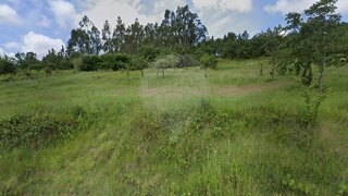 Land for sale in Pombal, Portugal — €12,000