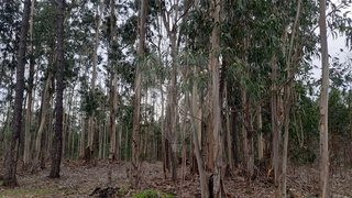 Land for sale in Pombal, Portugal — €5,000