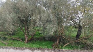 Land for sale in Sintra, Portugal — €60,000