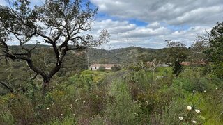 Land for sale in Odemira, Portugal — €215,000