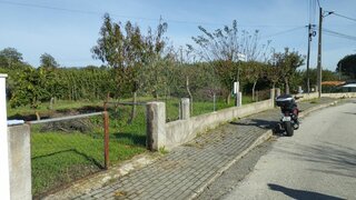 Land for sale in Santa Comba Dão, Portugal — €61,150