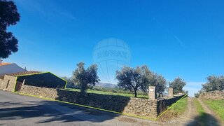 Terreno em São João da Pesqueira