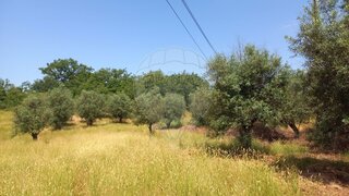 Land for sale in Ferreira do Zêzere, Portugal — €21,000