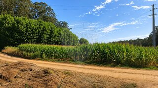 Land for sale in Ovar, Portugal — €19,500