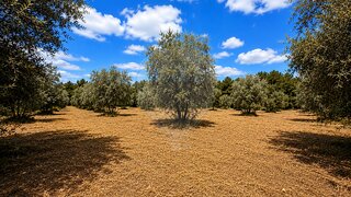 Land for sale in Ourém, Portugal — €68,000