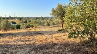Land for sale in Vila Nova da Barquinha, Portugal — €96,000