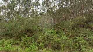 Land for sale in Valença, Portugal — €17,475