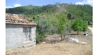 Land for sale in Proença-a-Nova, Portugal — €23,500