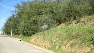 Terreno em Arganil