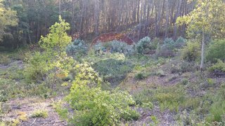Land for sale in Ansião, Portugal — €19,900