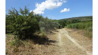 Terreno de 18 050 m² em Bragança