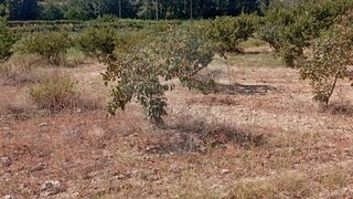 Land for sale in Mirandela, Portugal — €280,000