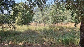 Land for sale in Pombal, Portugal — €37,500