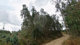 Land for sale in Pombal, Portugal — €1,700