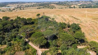 Terreno · 5480 m² · 7500 €