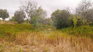 Land for sale in Torres Novas, Portugal — €8,265