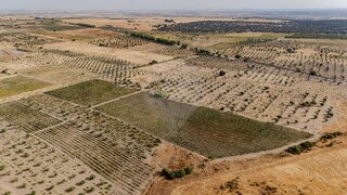 Land for sale in Moura, Portugal — €330,000