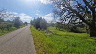 Land for sale in Pombal, Portugal — €50,000