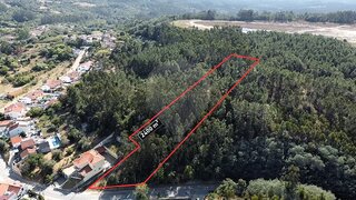 Terreno de 2400 m² em Coimbra