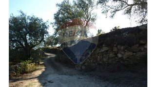 Land for sale in Sernancelhe, Portugal — €85,000