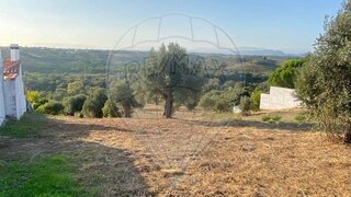 Land for sale in Torres Novas, Portugal — €18,000